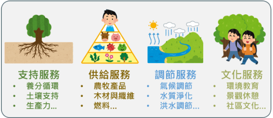 打造可持續發展的SEO生態系統與實務建議