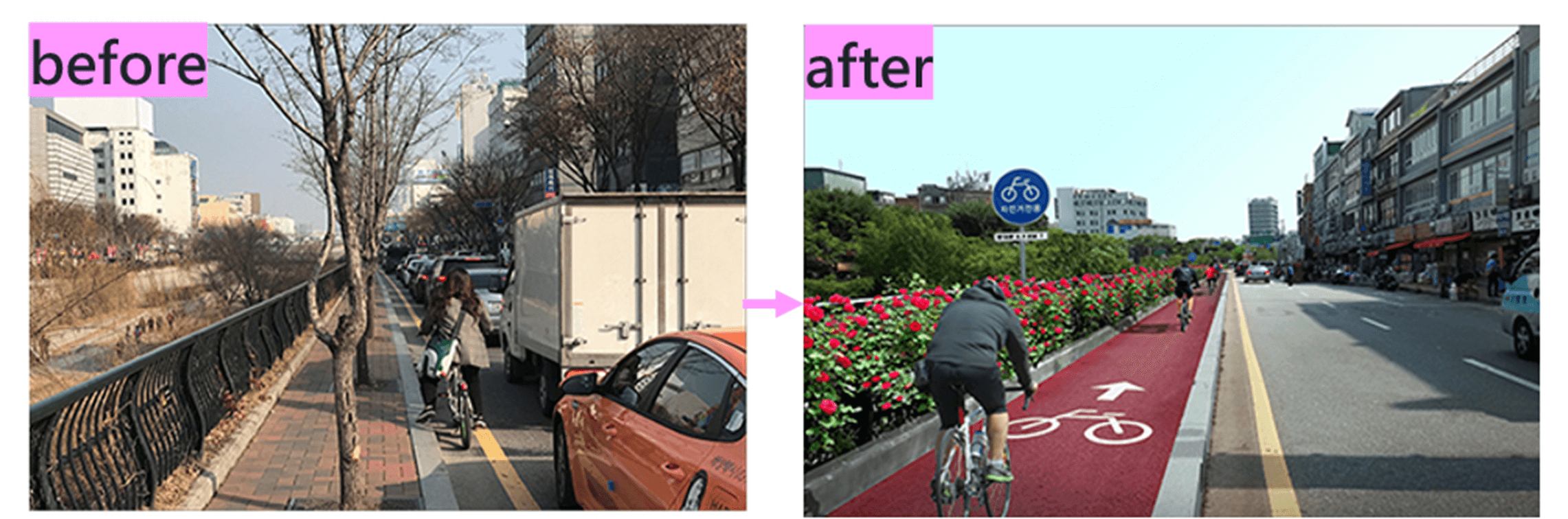 首爾自行車道建置(移除既有路樹增設) 